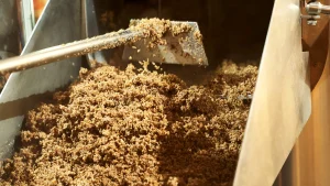 This Beer Byproduct Is Creating Vegan Leather and Cakes—Here’s How!